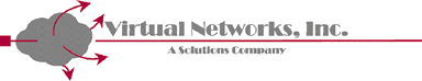 Virtual Networks, Inc. Logo
